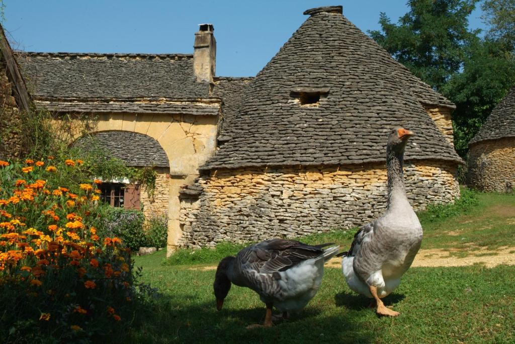 Madame Vacances - Residence Du Golf D'Armagnac Eauze Chambre photo
